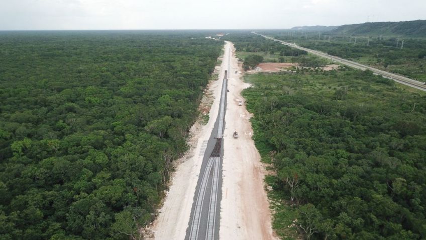 Si eres de la CDMX podrías laborar en el Tren Maya; Buscan empleados para culminar obras