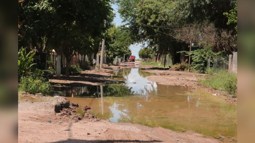 Cajeme: Calles del Tobarito están en el olvido; la falta de mantenimiento es evidente