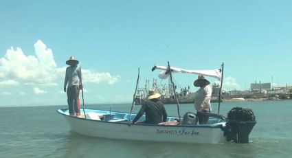 Pescadores salen en busca del 'oro rosado' en el Puerto de Yavaros