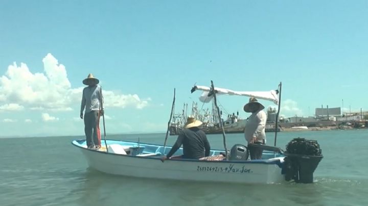 Pescadores salen en busca del 'oro rosado' en el Puerto de Yavaros