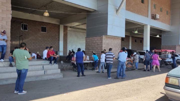 Por falta de citas, autos 'chocolates' quedan sin regularizar en el municipio de Cajeme