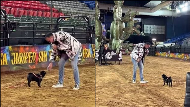 Pepe Aguilar le da concierto a el 'Gordo Aguilar'