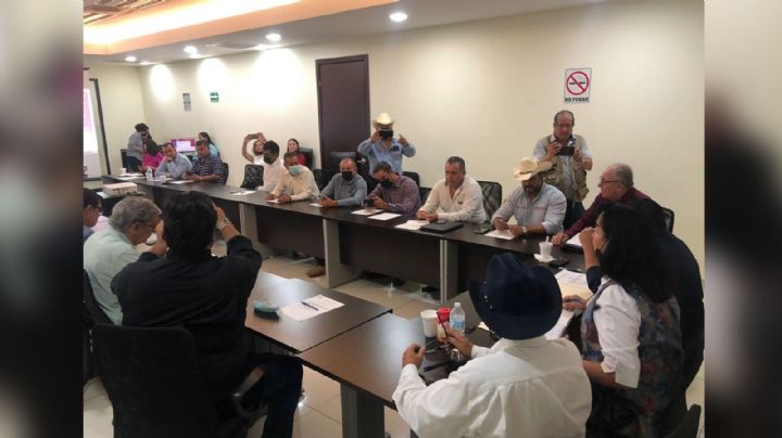 Sistema Producto Tomate ratifica a su mesa directiva; por primera vez sesionó en Ciudad Obregón