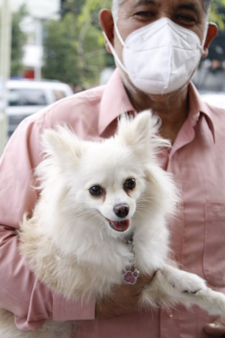 Jornada de vacunación antirrábica