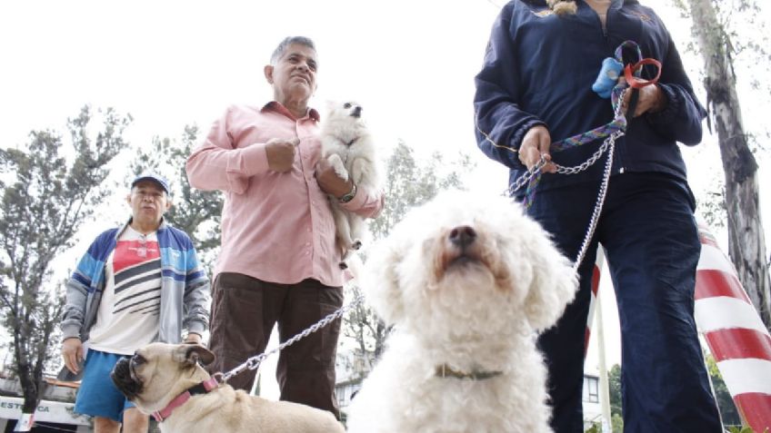 Inició la Jornada de Vacunación antirrábica en la CDMX: Asiste con tu perrito o gatito