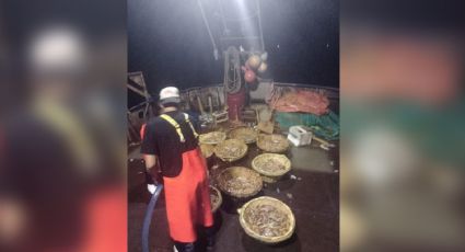 Barcos camaroneros del Puerto reportan 'regular' las capturas del crustáceo
