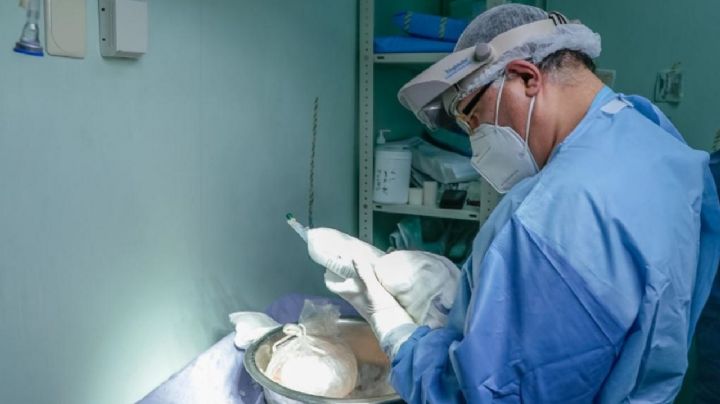 La importancia de la donación: En Toluca se realizan más de 50 trasplantes al año