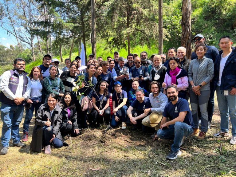 Plantan 300 árboles en Bosques de las Lomas