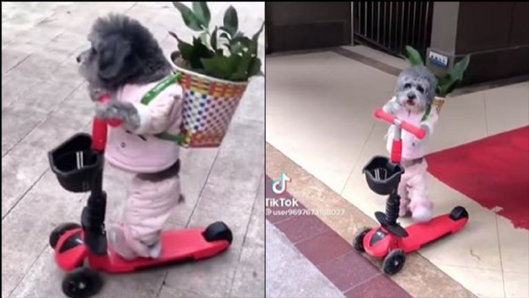 Publicación de Omar Chaparro