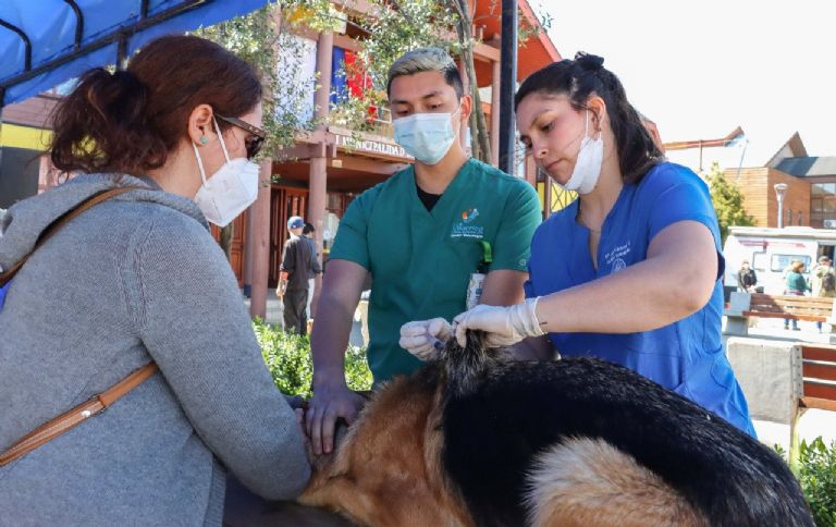 Jornada de vacunación contra la rabia
