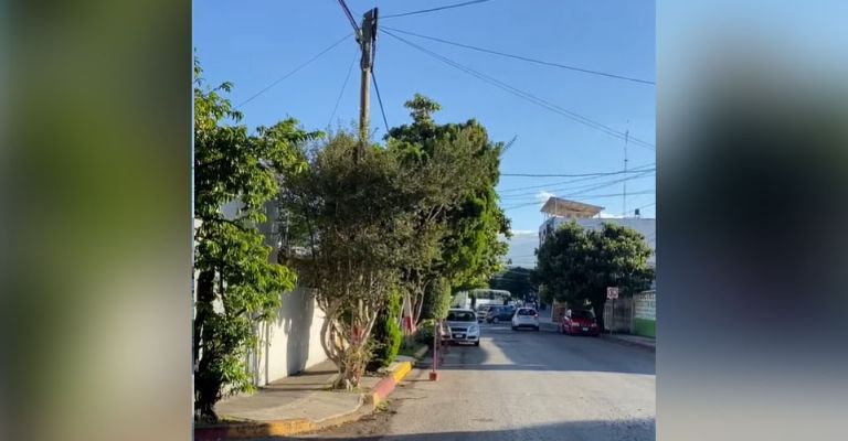 Encuentran a mujer muerta en Jiutepec