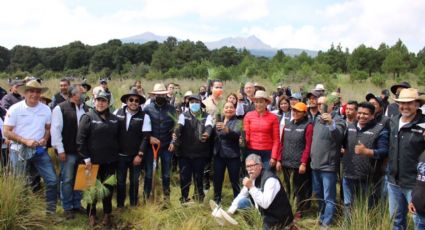 Nevado de Toluca: Plantan árboles para evitar deforestación en la zona y proteger el bosque