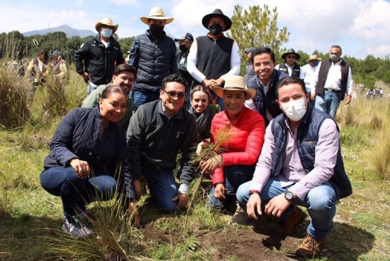 Reforestación en el Nevado de Toluca