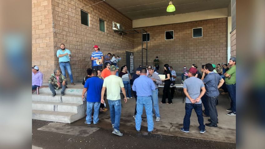 Regularización de autos 'chocolates' registra alta afluencia en Ciudad Obregón