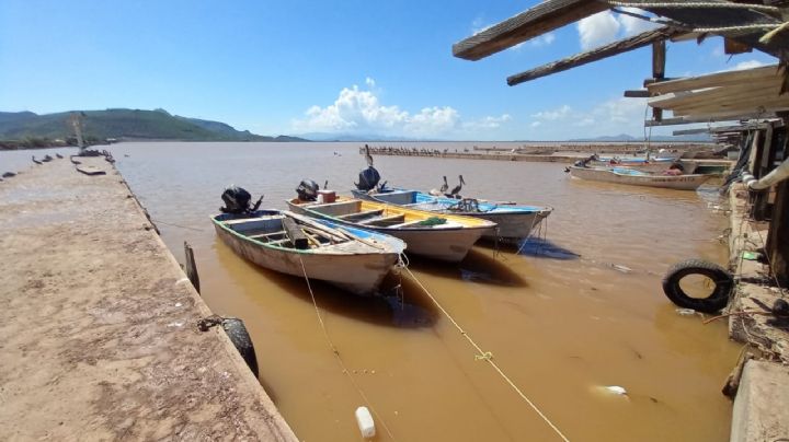 Conapesca: Temporada camaronera arranca el 15 de septiembre para ribereños; barcos saldrán el 22