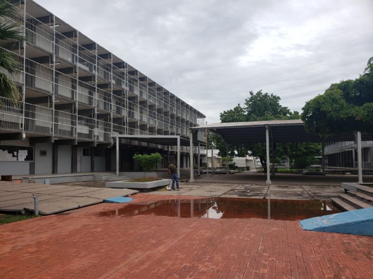 Una araña violinista habría picado a estudiante de Cajeme. Foto: Facebook