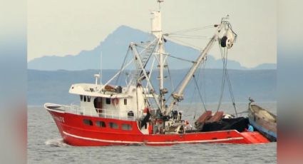 Temporada sardinera en Sonora 'pinta bien'; cierran diciembre con 170 toneladas de la especie