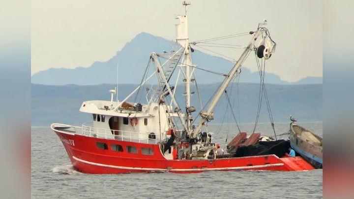 Temporada sardinera en Sonora 'pinta bien'; cierran diciembre con 170 toneladas de la especie