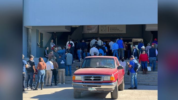 Contribuyentes de Cajeme resienten alza de impuestos; acuden a pagar placas y renovar su licencia