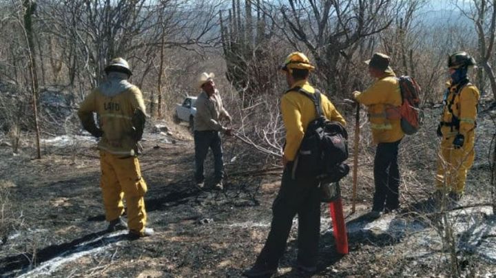 Incendios forestales en Cajeme han dañado más de 800 hectáreas, afirman ganaderos