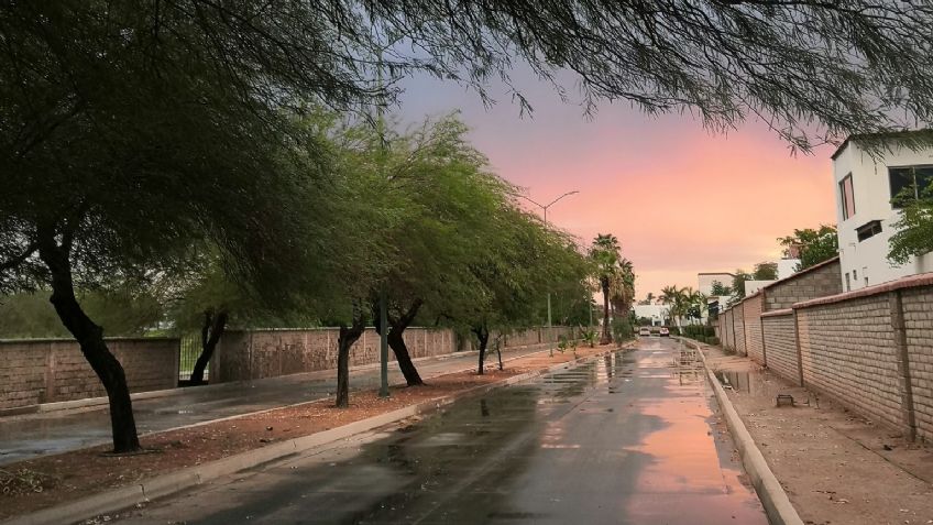 Conagua: Tercera Tormenta Invernal provocará lluvias y caída de nueve en Sonora hoy 17 de enero