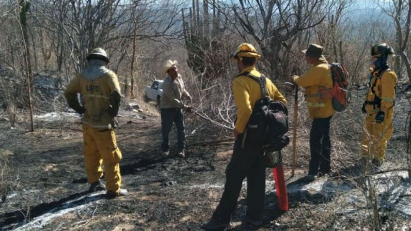 Incendios forestales en Cajeme han dañado más de 800 hectáreas, afirman ganaderos