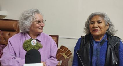 Red Feminista celebran decisión de la SCJN de impedir a deudores de pensión acceder a puestos públicos