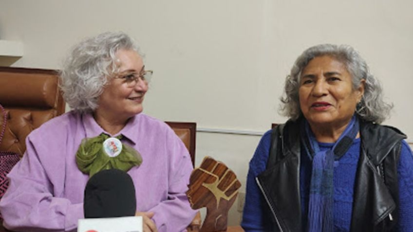 Red Feminista celebran decisión de la SCJN de impedir a deudores de pensión acceder a puestos públicos