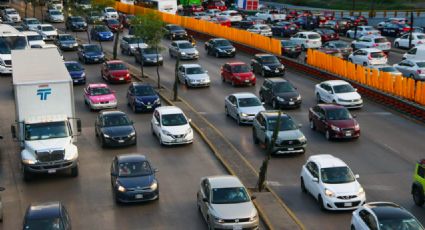 Que no te multen: Estos son los autos que no circulan este viernes 20 de enero