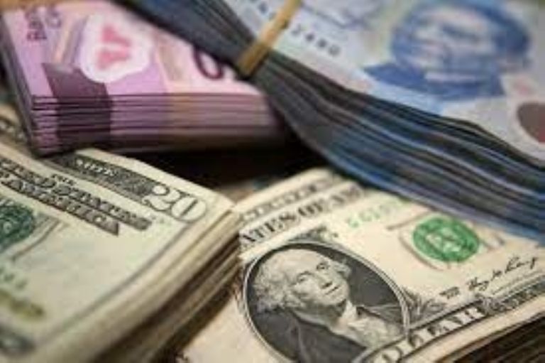 Información sobre el precio el dólar en México hoy martes 24 de enero. Foto: Internet