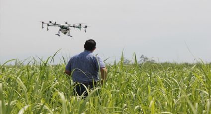 Sader se compromete a realizar gestión para regular uso de drones en el Valle del Yaqui y Mayo