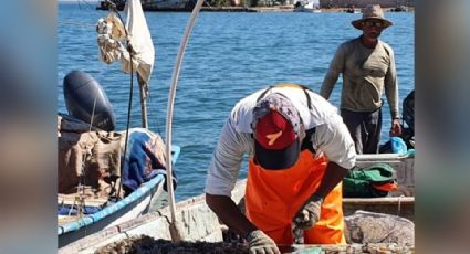 Sonora: Coesprisson levanta alerta de consumo de pescado en Yavaros