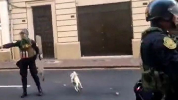 "Renuncia asesina": Policía de Perú mata a un perro que defendía a su dueño durante protestas