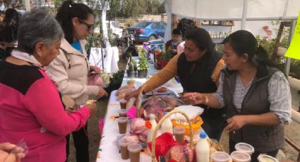 Visita el Tianguis Agroecológico de Tecámac y apoya a campesinos mexiquenses