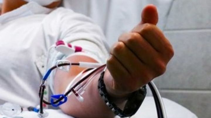 Rabia humana en México: Secretaría de Salud emite alerta sanitaria por esta enfermedad