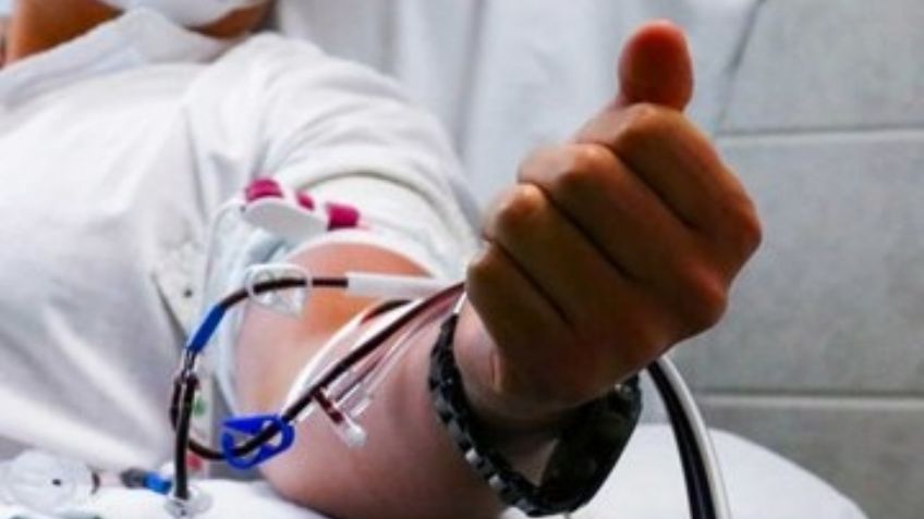 Rabia humana en México: Secretaría de Salud emite alerta sanitaria por esta enfermedad