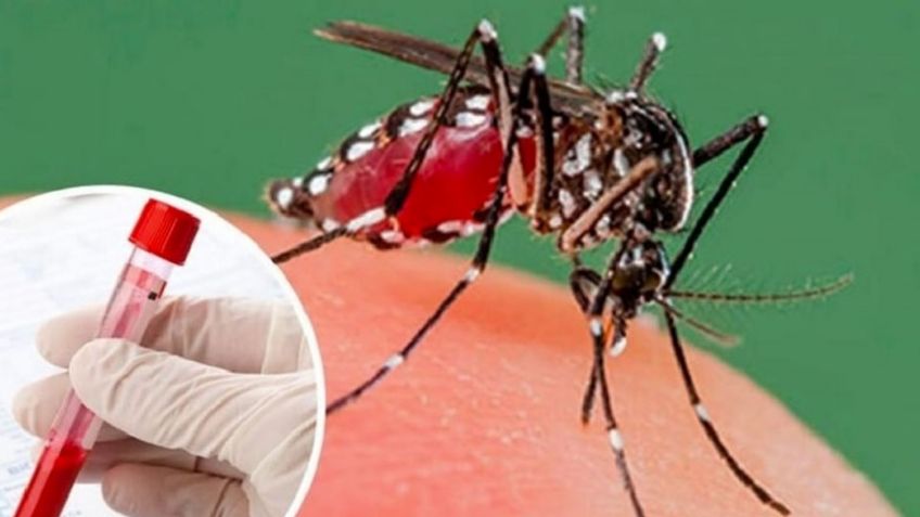 Dengue en el Sur de Sonora inicia el año con signos de alarma; hay un incremento del 400%