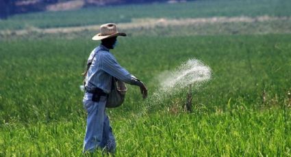 Pemex: Programa de fertilizantes gratuitos se expandirá en todo México este 2023