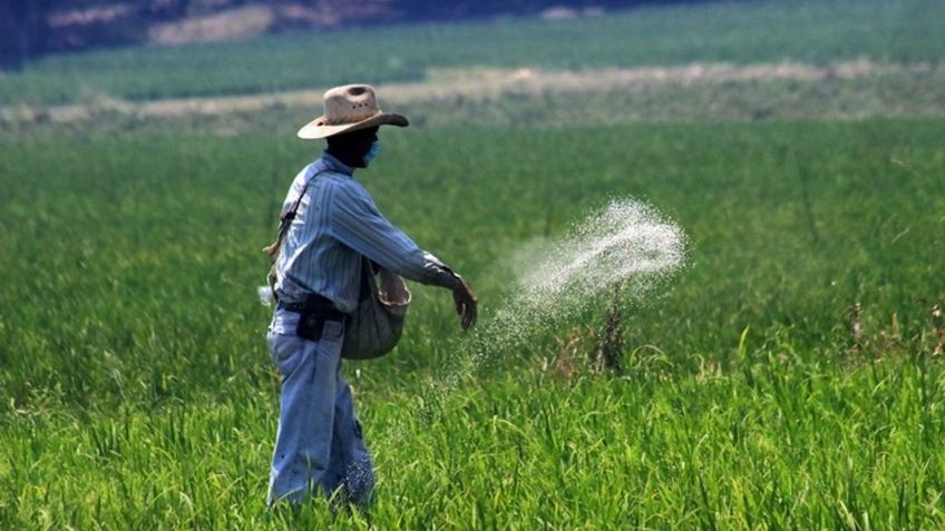 Pemex: Programa de fertilizantes gratuitos se expandirá en todo México este 2023