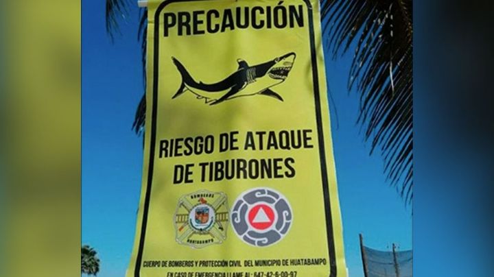A casi un año de la tragedia, alerta de posible ataque de tiburón regresa al Sur de Sonora