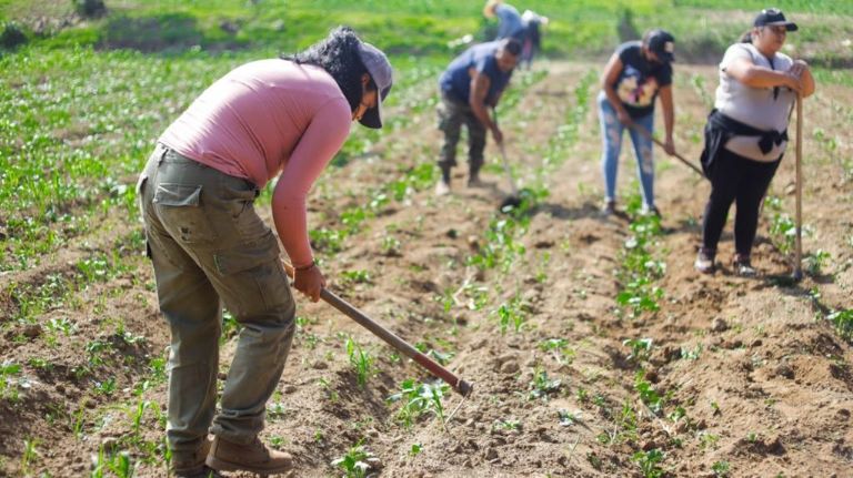 Hectáreas de suelo rescatadas
