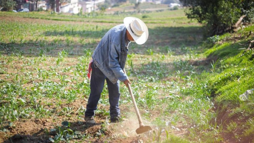 La CDMX regresa al campo y reactiva 5 mil hectáreas con actividad forestal