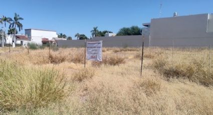‘Jalo por Obregón’ va por limpieza de predios baldíos en el municipio de Cajeme