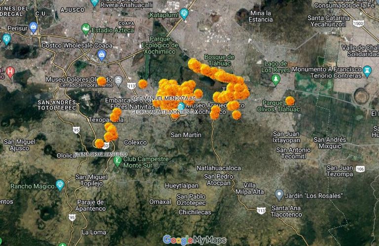 Mapa del Cempasúchil en CDMX