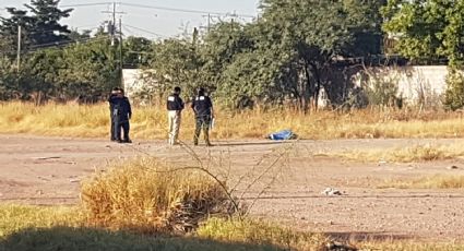 Era de Ciudad Obregón: Reconocen a mujer asesinada y abandonada en terreno de Cajeme