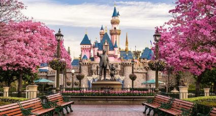 En el marco de su aniversario, explota salvaje pelea en Disneyland; el VIDEO se hace viral