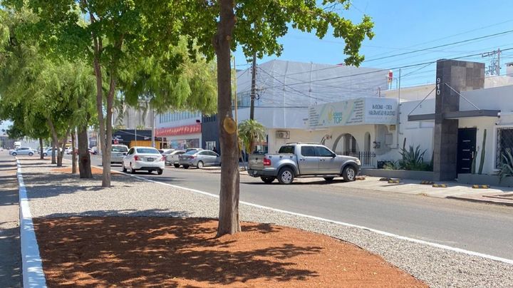 'Jalo por Obregón' continúa jornadas de rehabilitación; recuperaron cuatro camellones