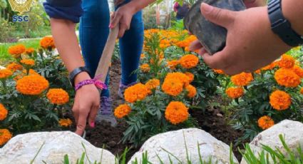 Mujeres privadas de la libertad venden Cempasúchil para ayudar a sus familias