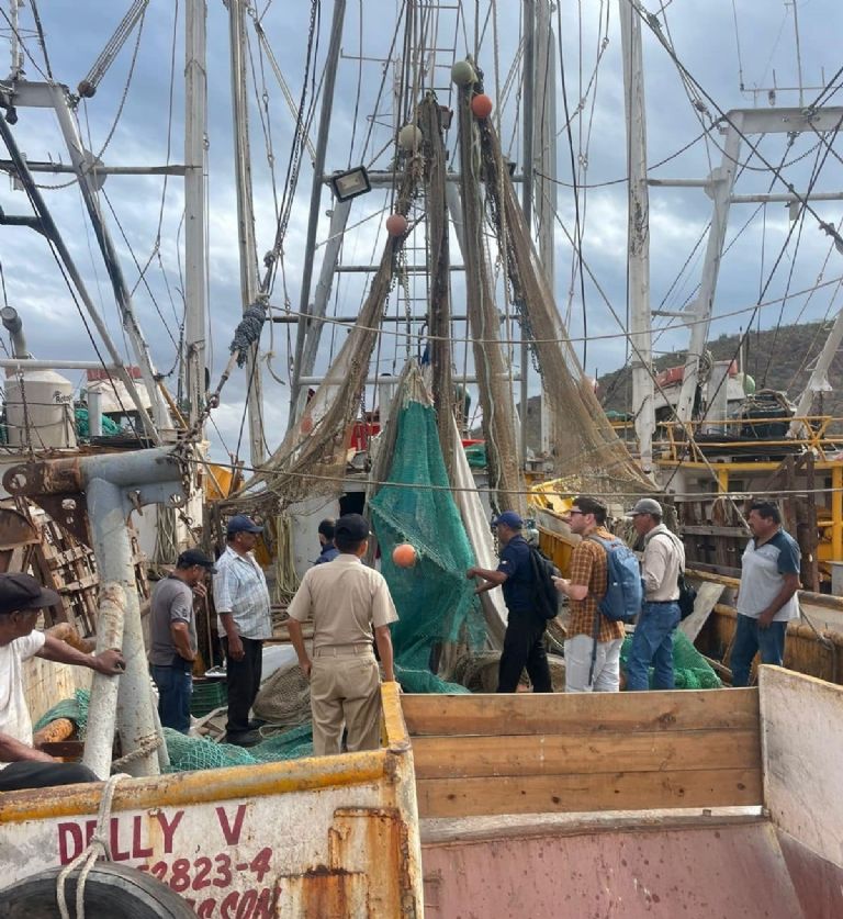 Supervisan barcos camaroneros en Guaymas, Sonora. Foto: Internet