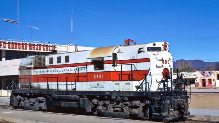 Luz pierde su pierna tras caer del tren en Nogales; oficiales la hallan desconsolada